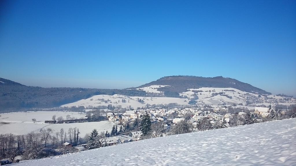 Familien Themen-Appartement Freiburg In Soelden 2 Schlafzimmer エクステリア 写真
