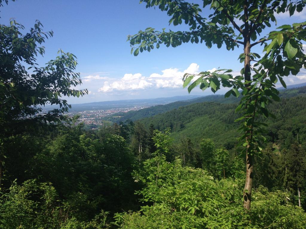 Familien Themen-Appartement Freiburg In Soelden 2 Schlafzimmer エクステリア 写真