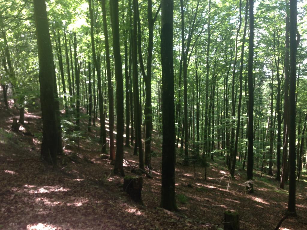 Familien Themen-Appartement Freiburg In Soelden 2 Schlafzimmer エクステリア 写真