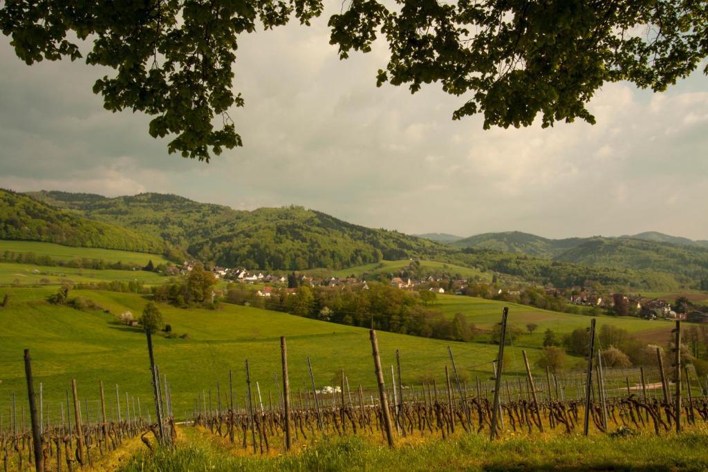 Familien Themen-Appartement Freiburg In Soelden 2 Schlafzimmer 部屋 写真